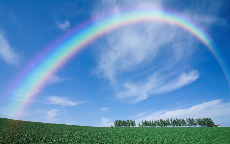 cool pics of nature hd background 1920x1200, beauty in nature, no people, plant, sky, land, multi colored, grass, nature, idyllic, 1080P, scenics - nature