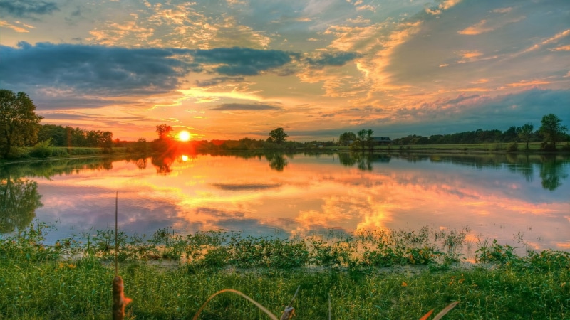 outdoors, growth, sunset, tranquility, orange color, nature, environment, sky, cloud - sky, no people, beauty in nature, 1080P, idyllic, lake, plant, non-urban scene