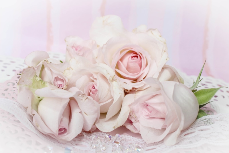 celebration, rose, romance, close-up, plant, softness, flowering plant, flower arrangement, freshness, love, indoors, fragility, pale pink, decoration