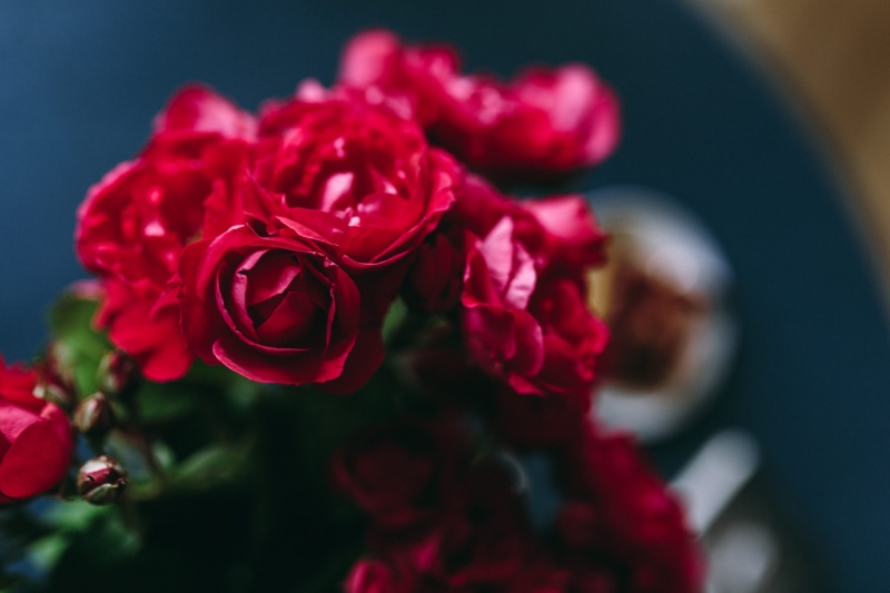 flowers, wedding, fragility, close-up, rose, workplace, flowering plant, no people, nature, rose - Flower, beauty, cute, bouquet, selective focus, inflorescence