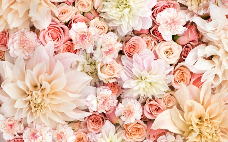 dahlias, vulnerability, flower arrangement, fragility, flower market, bouquet, bunch of flowers, backgrounds, rose, flower head, 720P, outdoors, petal