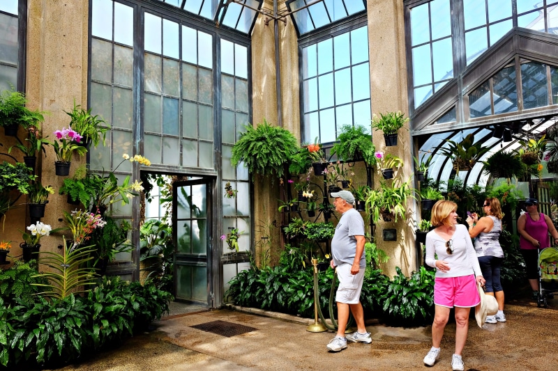longwood gardens, day, garden, standing, two people, casual clothing, real people, adult, women, nature, plant, outdoors, building exterior, potted plant