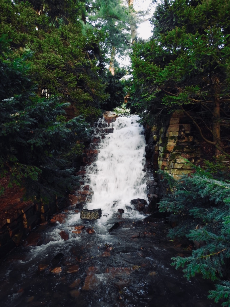 plant, waterfall, rainforest, falling water, motion, moving, day, flow, nature, running water, tree, beauty in nature, growth, water, long exposure, power in nature