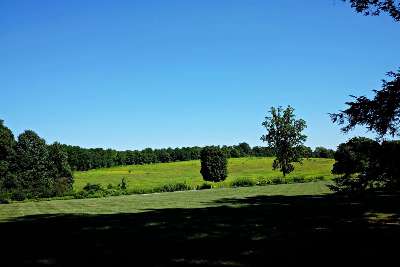sky, green color, scenics - nature, landscape, green, tree, tranquility, field, grass, sunlight, nature, environment, trees, land, 4K, growth, longwood gardens