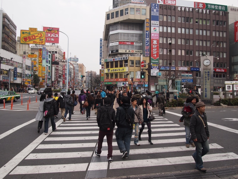 large group of people, crosswalk, transportation, city street, japan, walking, city, road, street, machida, sign, symbol, crowd, marking, built structure