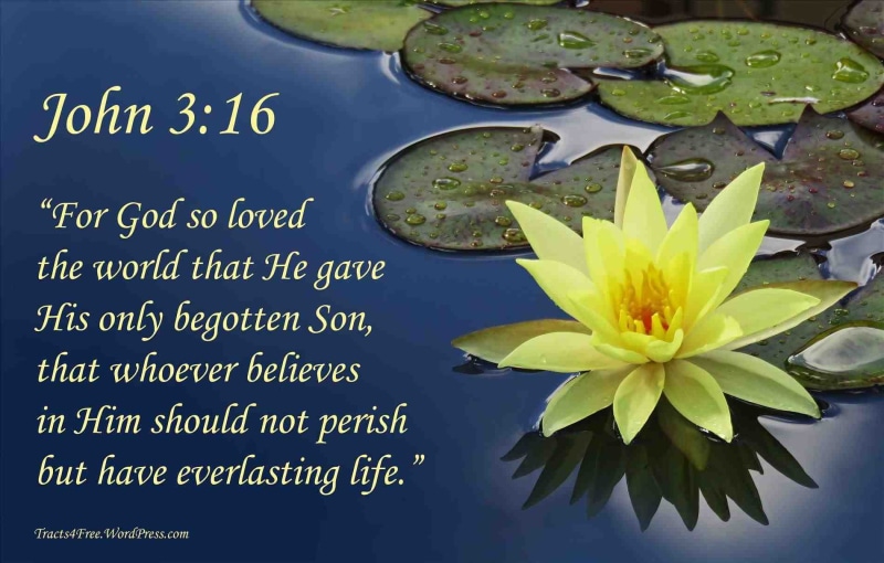 720P, religion, typography, text, bible, verses, quote, motivational