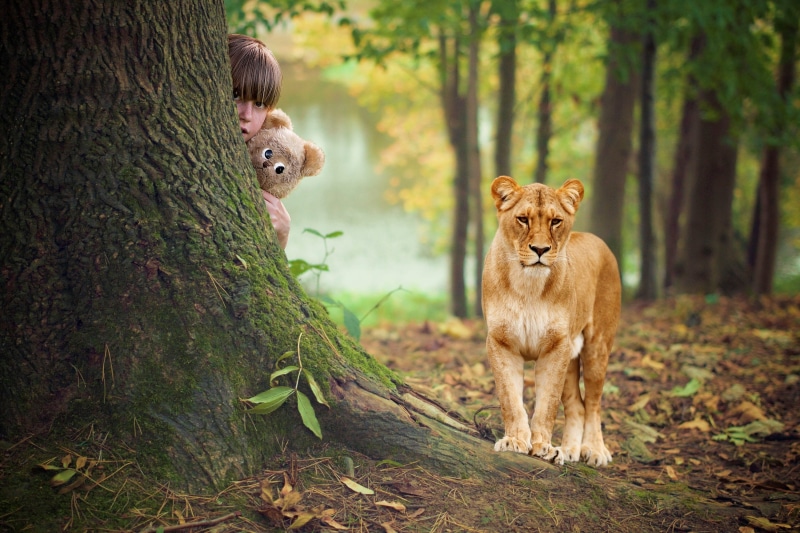 love, mammal, feline, autumn, playful, dream, tree, happy, tree trunk, gorgeous, sweet, child, animal themes, trunk, protect, day, play, looking at camera
