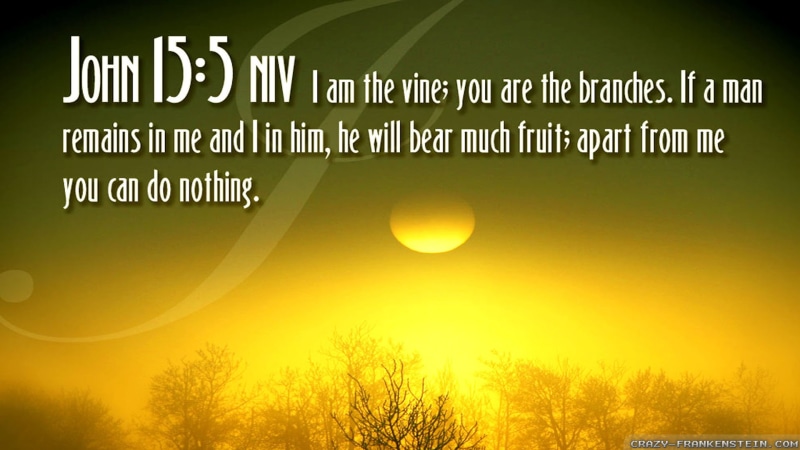 verses, poster, 1080P, religion, bible verses, quote, text, bible