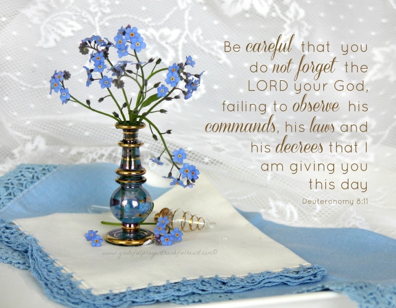 bible, poster, text, religion, bible verses, verses, quote, 720P