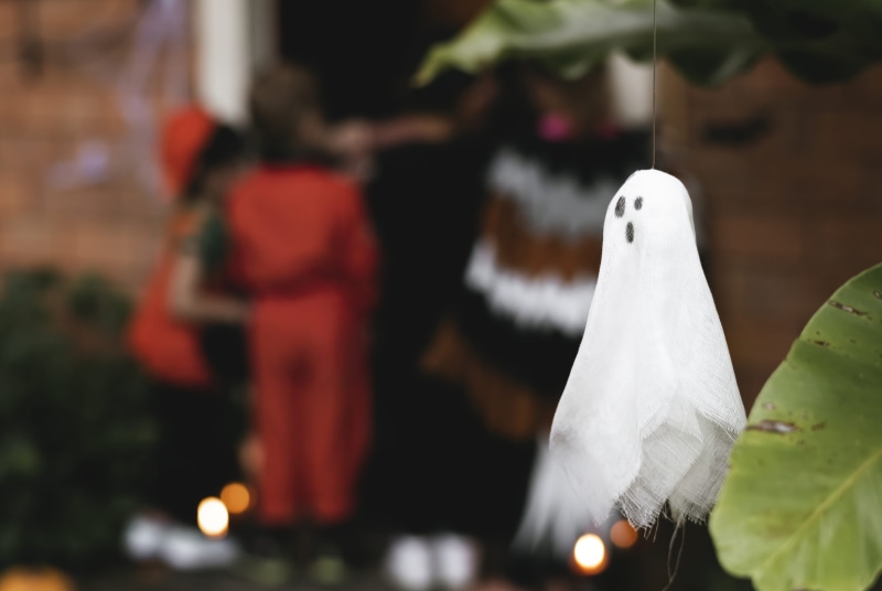 blurred background, celebration, white color, animals in the wild, holiday, kids, design, 4K, festive, festival, vertebrate, ornament, spooky, doll, costumes