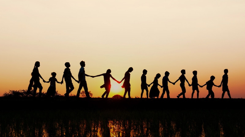 sunset, Andhra Pradesh, India, 1080P, silhouette, rice field, children