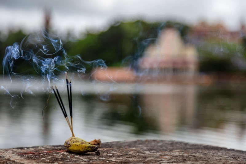 plant, mauritius, flowing water, banana, incense, hindu, hinduism, sticks, lake, ganga taiao, close-up, reflection, motion, flowing, nature, saint, burning