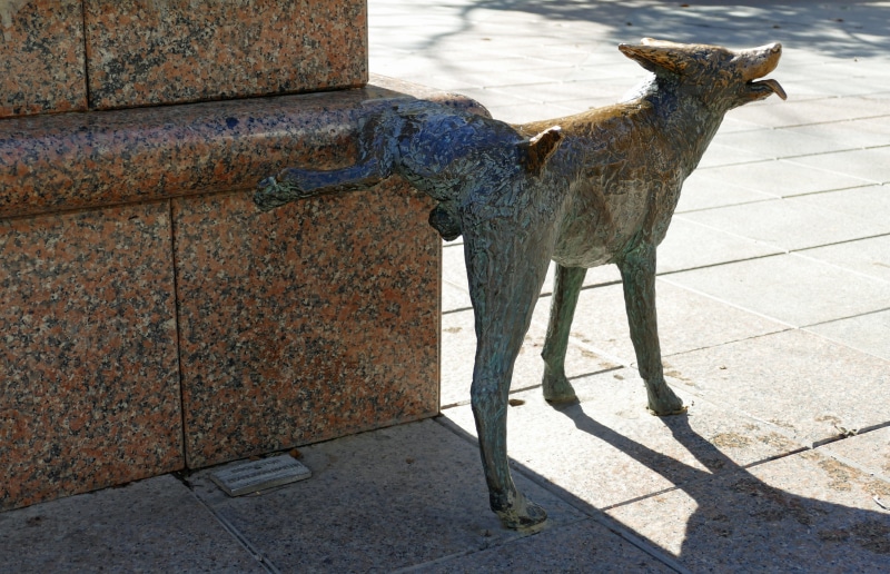 no people, one animal, domestic, animal themes, pee, full length, 5K, animal, decoration, wall - building feature, day, sunlight, art, vertebrate, dog