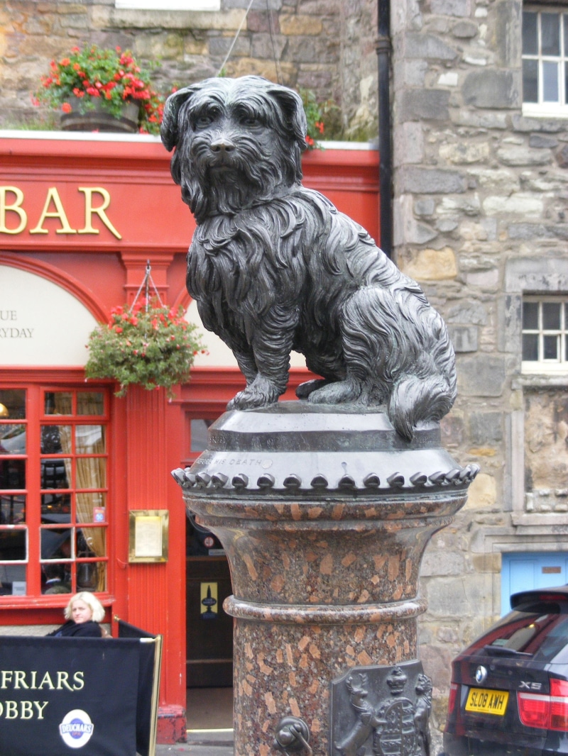 domestic animals, animal, copper, 2K, mammal, symbol, vertebrate, architecture, Dog, Scotland, no people, old, text, Statue, object, non-western script
