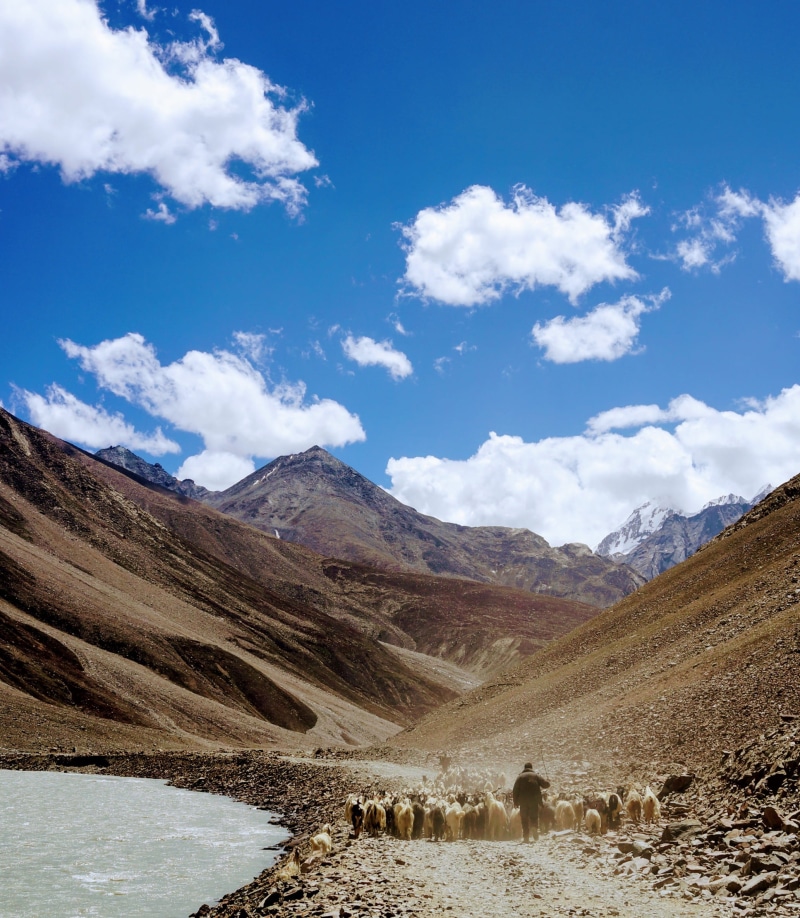 sheep, beauty in nature, land, middle, mountains, brown, person, day, non-urban scene, goat, no people, climate, canyon, remote, mountain range, scenics - nature