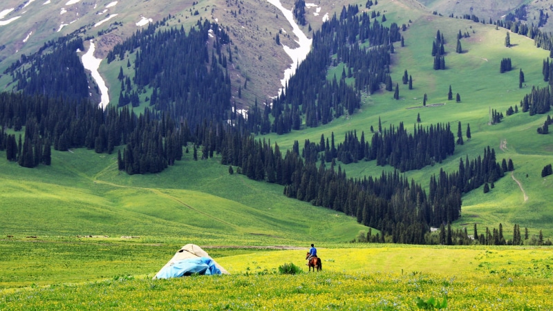 two people, pasture, 4K, beauty in nature, asia, green color, leisure activity, prairie, field, idyllic, grass, couple - relationship, tranquility, tree
