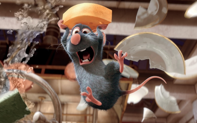 mouse, ratatouille, 2K, scared, animal, mice, anime, picture
