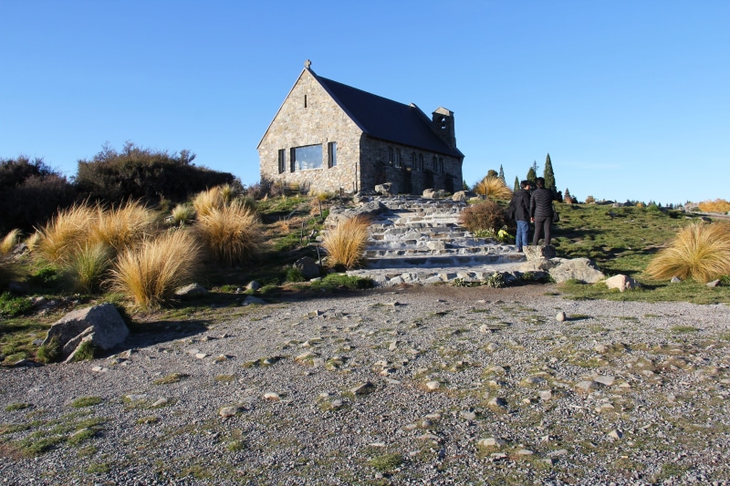 sunny, autumn leaves, rural Scene, lake tekapo, copy space, solid, blue, popular, cold, lake, travel destinations, beauty, water, plant, shepherd, no People