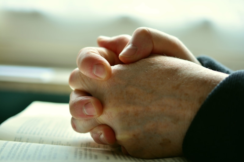 people, depth, care, arm, ask, body part, human finger, 5K, praying hands, selective focus, focus on foreground, meditation, innocence, close-up, religion