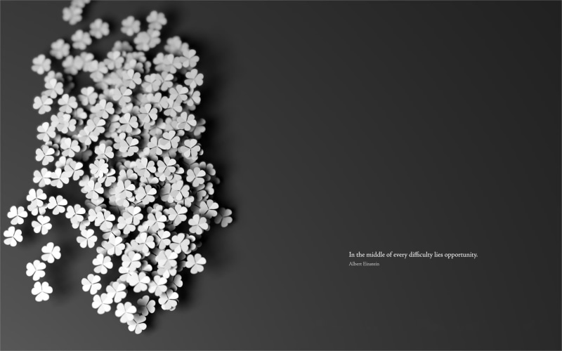 black color, studio shot, shiny, lot, 1080P, floral, bead, flowers, black background, quote, nature, close-up, wealth, abstract, precious gem, monochrome