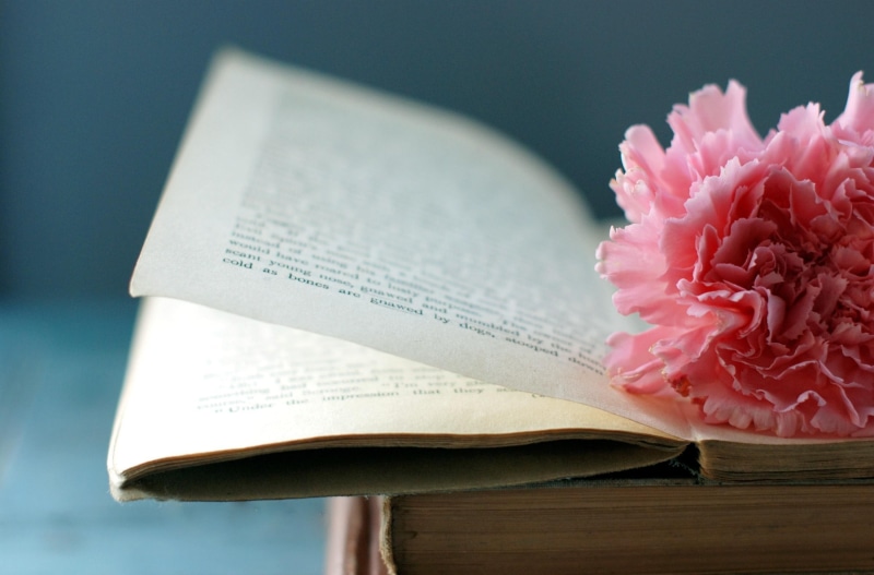 flower, 2K, book, bookmark, page