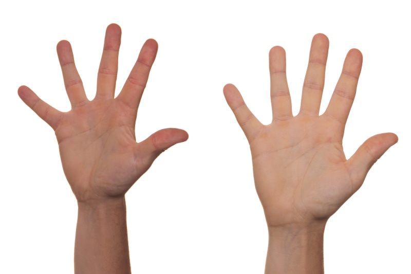 bookmark, human hand, number, youre about to, gesture, stop gesture, right, cut out, voice, five, hand, communication, greetings, volunteer, ready, guide