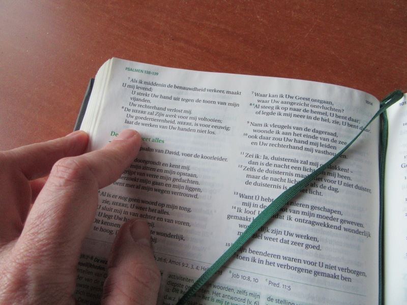 unrecognizable person, human hand, body part, read ribbon, Table, western script, human body part, one woman only, Book, Bible, lifestyles, personal perspective