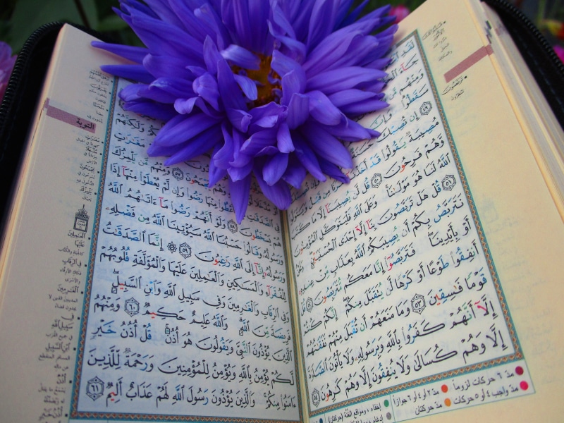 muslims, text, translation, mosque, table, communication, god, petals, textbook, quran, design, publication, muslim, paper, allah, culture, scripture, islam