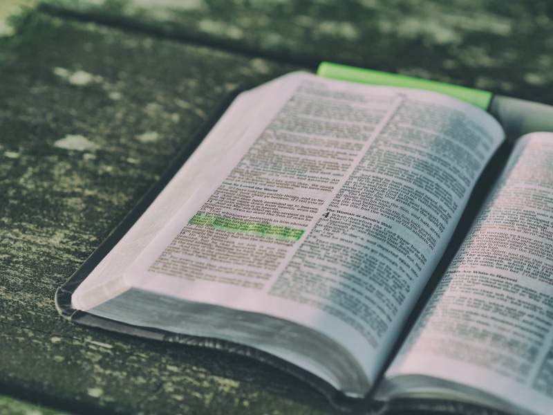 page, notes, literature, print, outdoors, 4K, close-up, newspaper, publication, highlight, text, high angle view, communication, writing, no people, bible