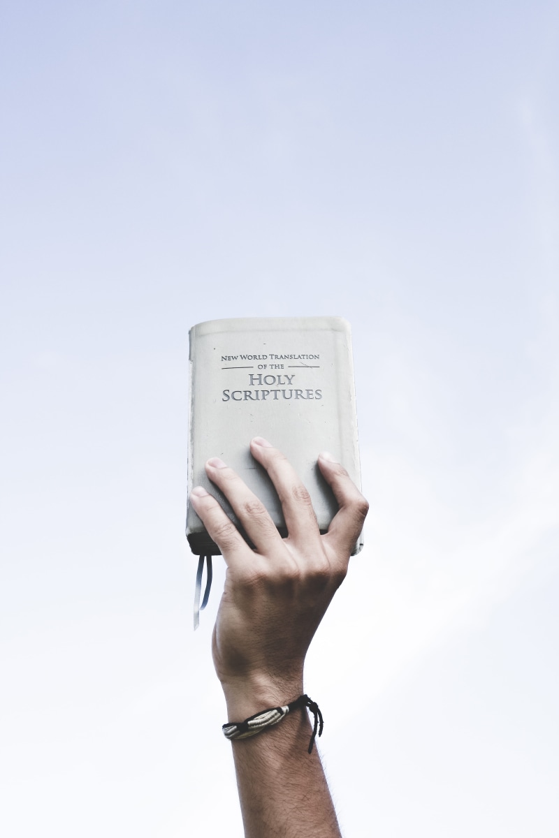 studio shot, christianity, book, concepts And Ideas, scriptures, human arm, True, hand, body part, human body part, white background, Light, hold, person