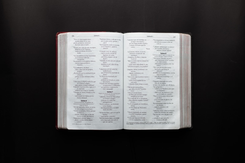 letter, studio shot, wisdom, reading, book series, education, document, communication, pages, information, 5K, religion, open, knowledge, single object