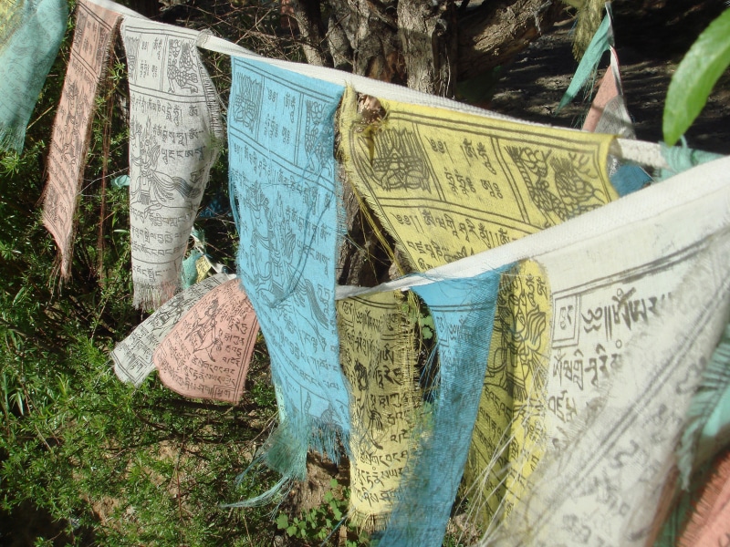 traditional, paper, nature, plant, day, spirituality, textile, spiritual, text, buddhism, outdoors, nepal, close-up, prayer, communication, buddhist, script