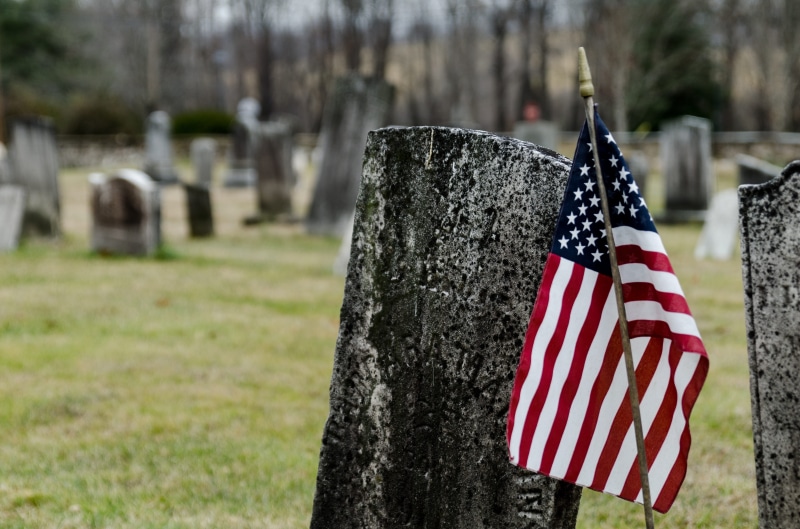 plant, grave, peace, headstone, us, no people, 4K, cemetery, churchyard, tombstone, memorial, day, gravestone, tomb, nature, tree trunk, christianity