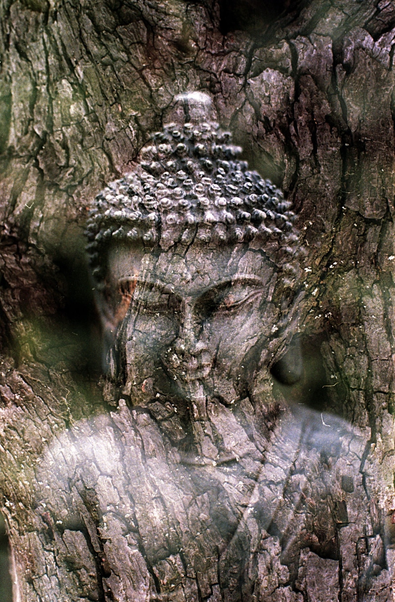 craft, human representation, representation, spirituality, sculpture, buddhist, relaxation, plant, spiritual, symbol, figure, tree trunk, growth, outdoors