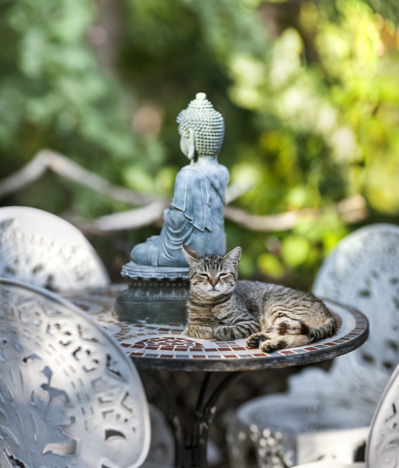 creativity, symbol, vertebrate, representation, feline, sculpture, mantra, figure, photography, religion, human representation, cute, table, focus, buddhism