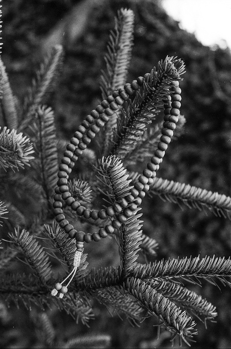 beads, old, leaf, hindu, 5K, religion, pine cone, pine tree, meditating, tibetan, zen, day, tree, meditation, natural pattern, flower, praying beads, nobody