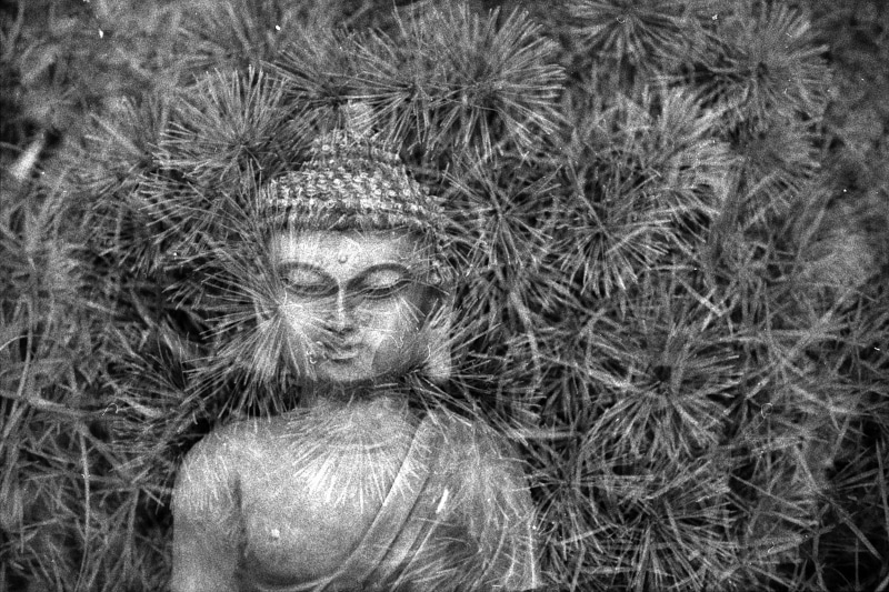 meditation, hairstyle, digital composite, praying, art and craft, close-up, human representation, cultures, spiritual, representation, peace, relaxation
