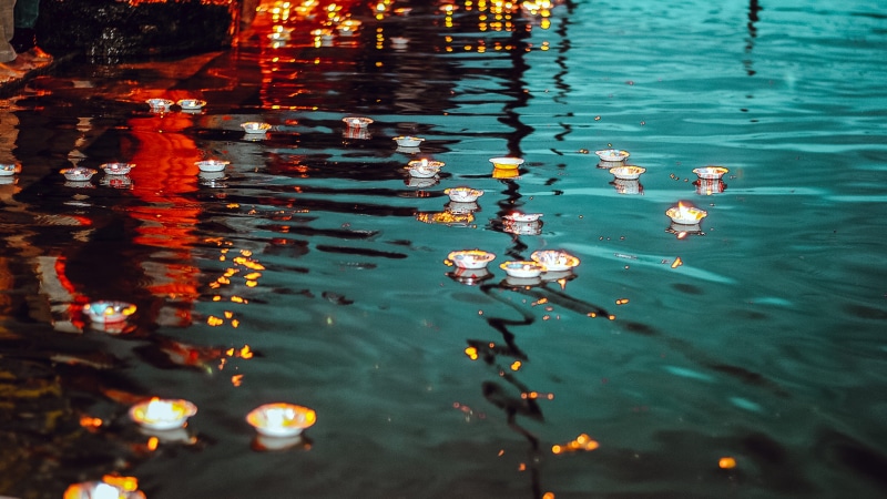 plant part, animal wildlife, floating, india, outdoors, nature, pray, no people, hindi, lake, watter, river, religion, sacred, day, school of fish, leaf