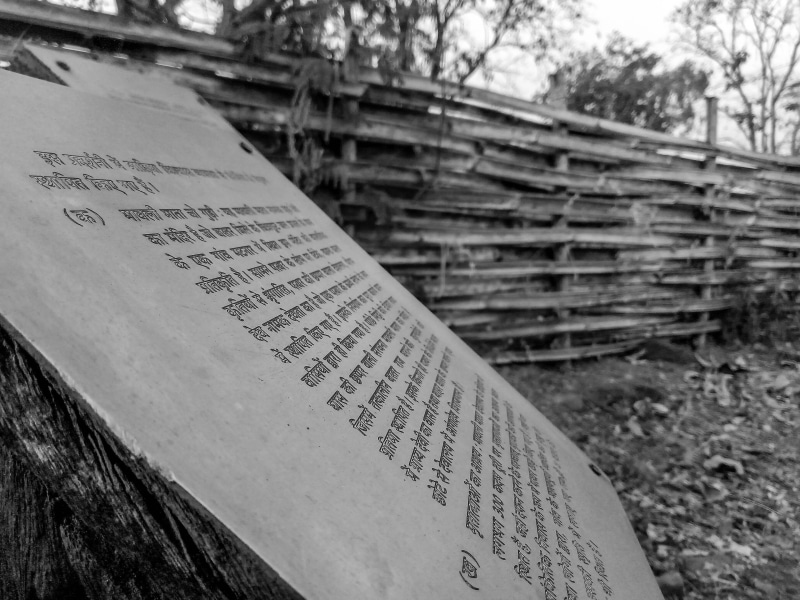 nature, non-western script, photowalks, religion, no people, outdoors, inscription, grass, wood, hindi, forest, selective focus, focus on foreground, script
