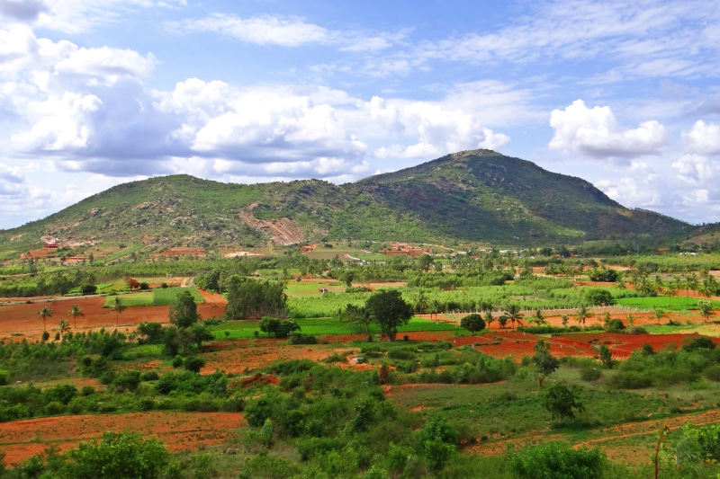 Karnataka, Nandi Hills, land, scenics, beauty in nature, day, field, rural scene, tranquility, outdoors, tree, cloud - sky, environment, india, sky, landscape