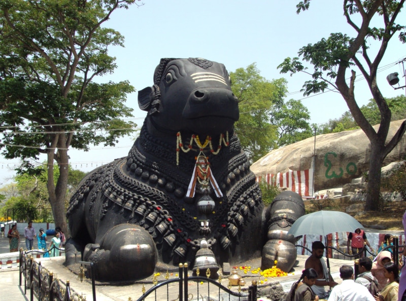 bull, metal work, human representation, art, tree, plant, day, built structure, design, outdoors, religion, karnataka, creativity, metal, nature, creative