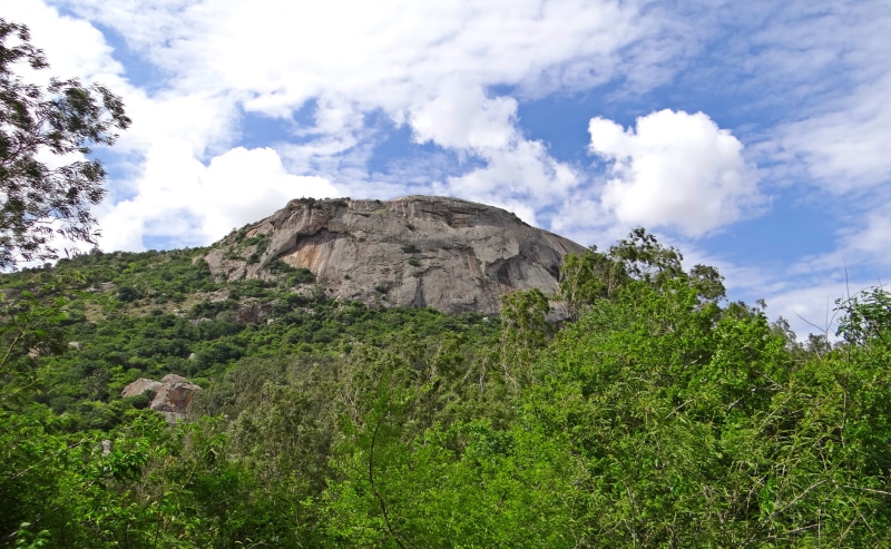 green color, low angle view, outdoors, land, tranquil scene, india, scenics - nature, idyllic, day, mountain, nature, tranquility, nandi hills, cloud - sky