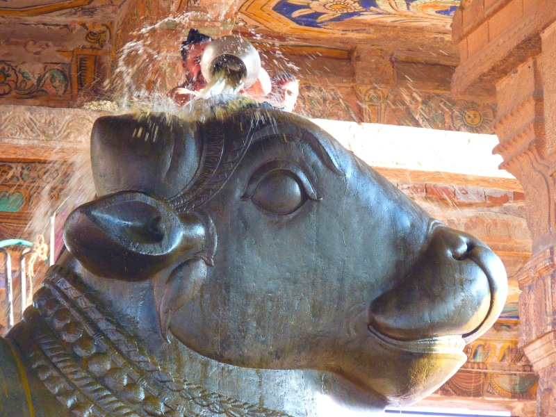 one animal, famous Place, Ceremony, architecture, brihadeswhwara temple, art and craft, sculpture, built structure, asia, outdoors, building, statue, animal wildlife