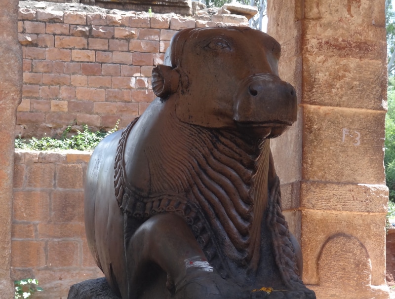 stone wall, nandi, animal themes, India, sculpture, day, creativity, Temple, construction, animals in captivity, Pattadakal, animal wildlife, one animal