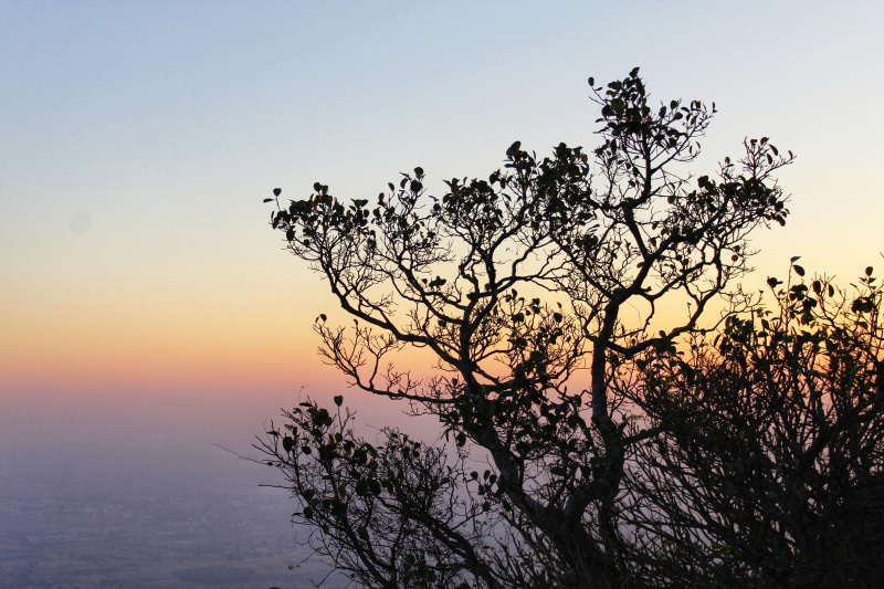 sunlight, water, gradient, no people, plant, 5K, animal, india, dusk, bird, red sky, nandi hills, outdoors, hilltop, sky, tranquil scene, non-urban scene