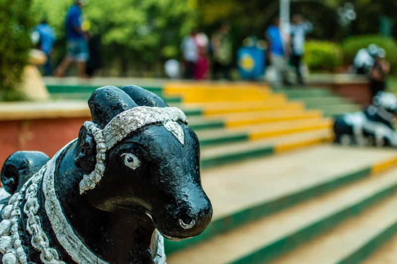 animal head, 5K, animal wildlife, livestock, sculpture, art and craft, incidental people, bull, creativity, figure, animal, close-up, animal themes, day