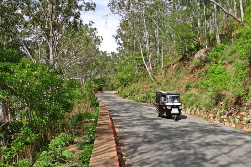 nandi hills, tranquil scene, plant, karnataka, india, tree, road, hill road, land, transportation, non-urban scene, green color, 2K, footpath, sunlight