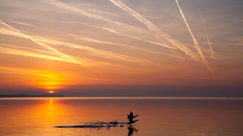 waterfront, sunlight, shore, rowboat, scenics - nature, calm, vapor trail, nautical vessel, sea, mode of transportation, sky, nature, horizon, orange sky