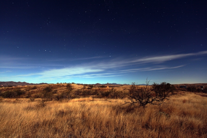 night, blue, field, star - Space, brown, landscape, scenics, nature, 5K, sonoran, grass, sky, desert, white