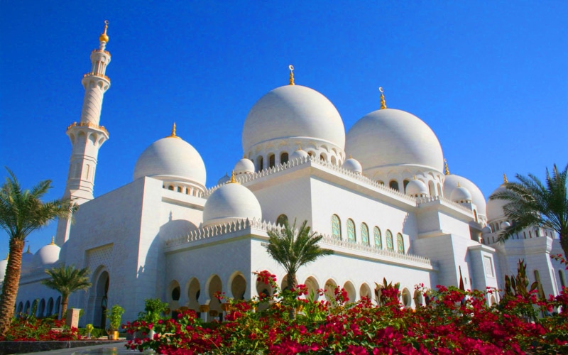 low angle view, travel destinations, sky, belief, flowering plant, building, 2K, abu, emirates, zayed, religion, clear sky, united, spirituality